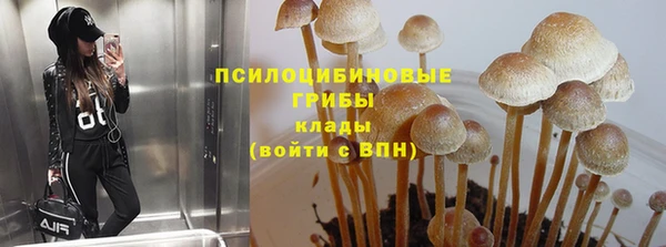 дживик Алексин