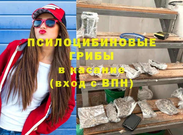 прущие грибы Алексеевка