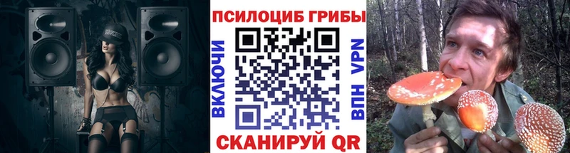 ссылка на мегу ССЫЛКА  Сыктывкар  Псилоцибиновые грибы GOLDEN TEACHER 