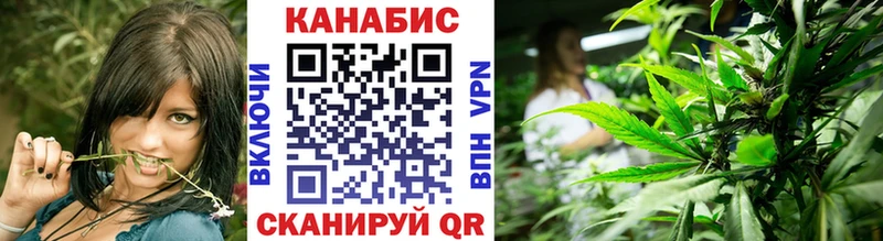 дарнет шоп  блэк спрут как войти  Канабис сатива  Сыктывкар 